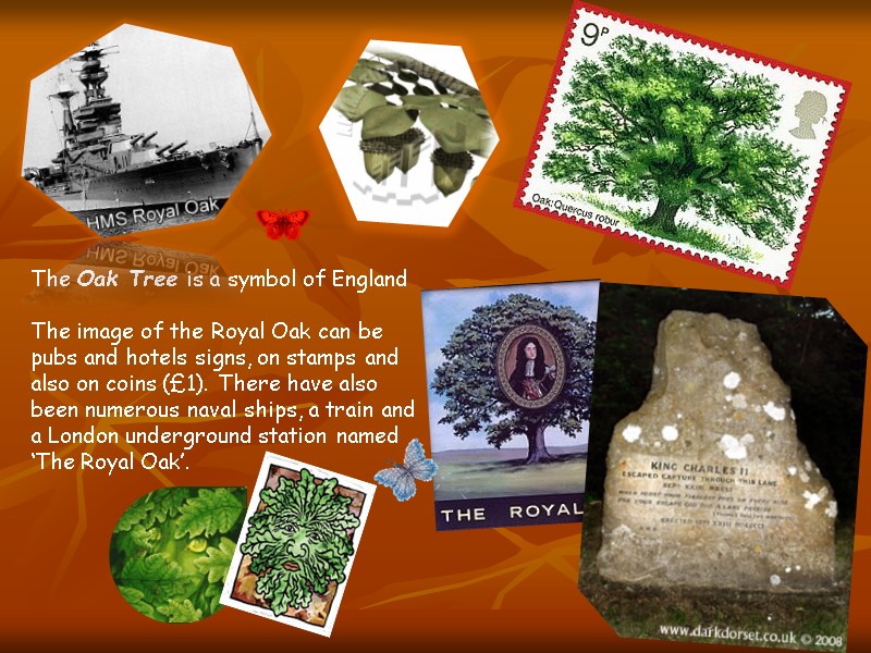 The Oak Tree is a symbol of England  The image of the Royal